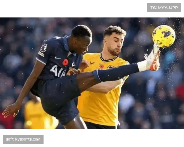 富勒姆主场不敌对手，保级压力持续增大